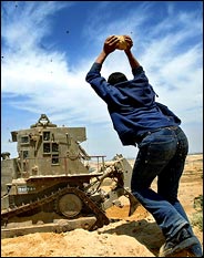 Palestinian throwing stone at D9