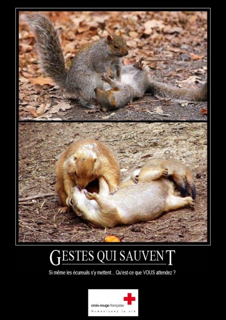 Squirrel CPR