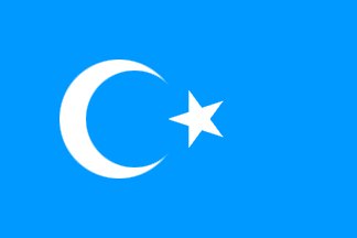 Uyghurstan Flag